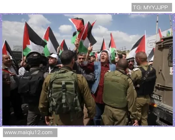 运动最新数据武汉篮球队反击之路解析：从困境到崛起的精彩旅程