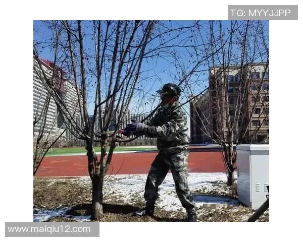 实时新闻南京足球队的成长之路从默默无闻到璀璨辉煌的奋斗历程